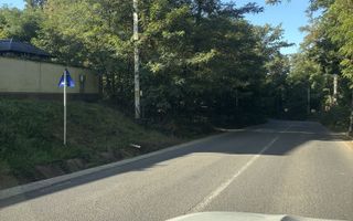 Teren pădure 3650 mp cu deschidere 42 m la Șos. Bârnova, ideal investiție pe termen mediu și lung - Poză 3