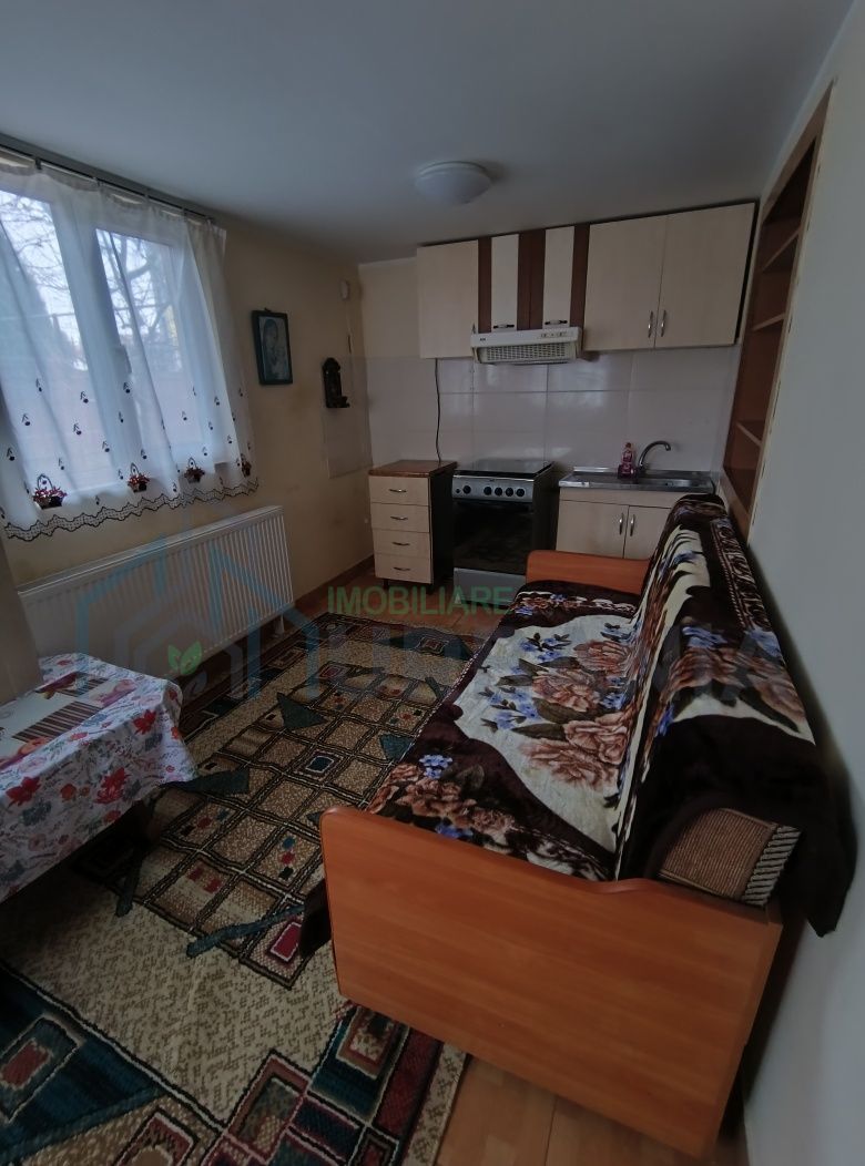 Persoana fizică casa cu teren lunca Cetatuii - Poză 3