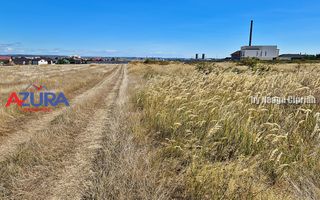 AZURA Imobiliare - Oportunitate rară de investiție în Bradu - Poză 4