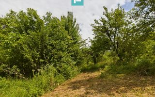 Loc de casă cu construcție în Dezna! - Poză 9