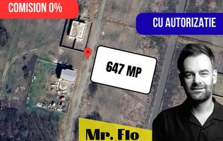 SUPER OFERTĂ – Teren Moșnița Nouă cu Autorizatie Constructie