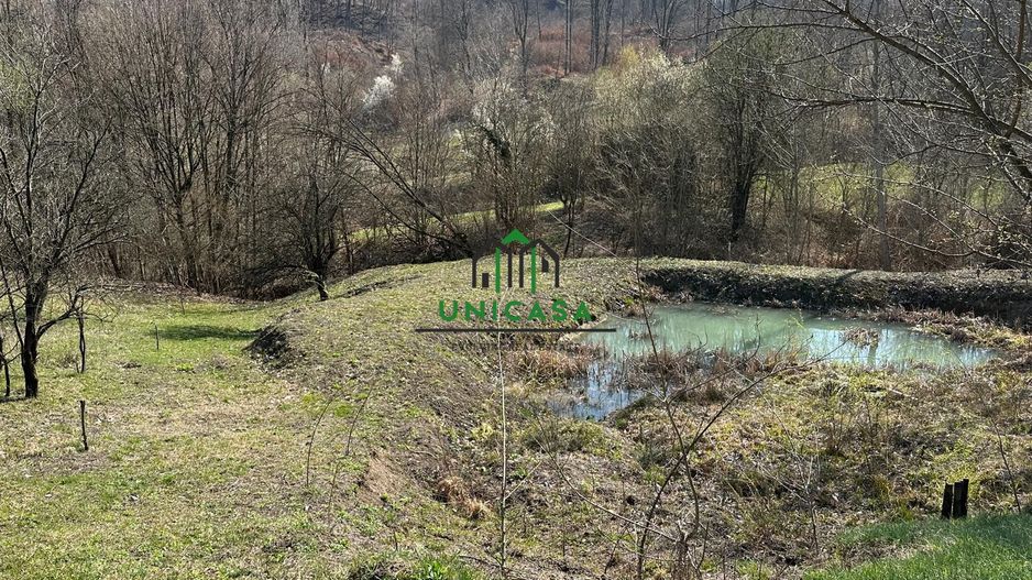 Teren Govora / 8131mp - Poză 5