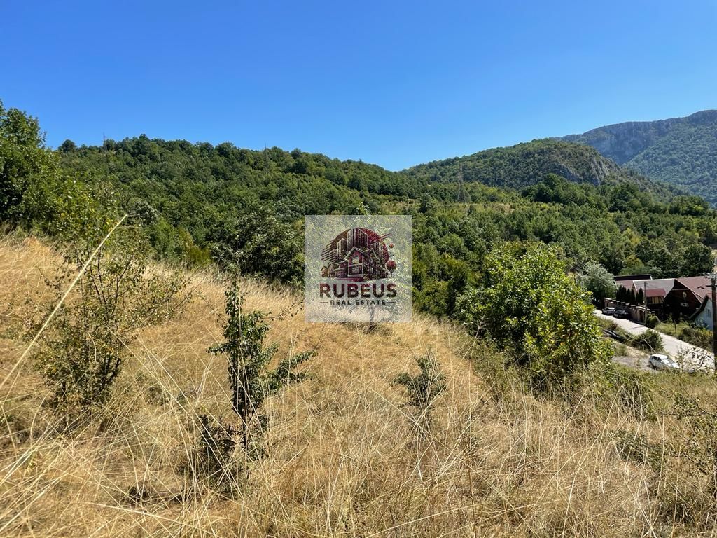 Teren intravilan 2.580 mp Eșelnița, acces DN57, ideal turism, locuinte - Poză 12