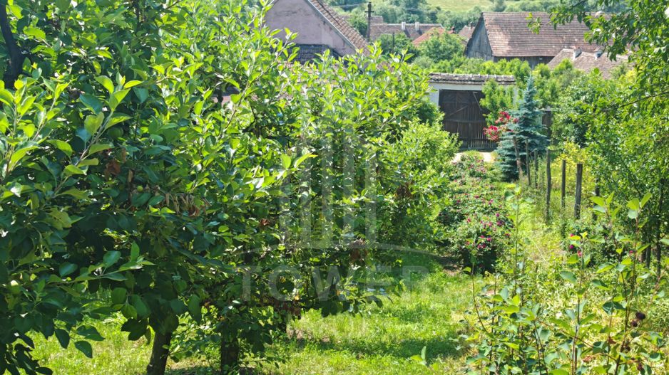 Casă săsească autentică în Bruiu (Sibiu) - Poză 18