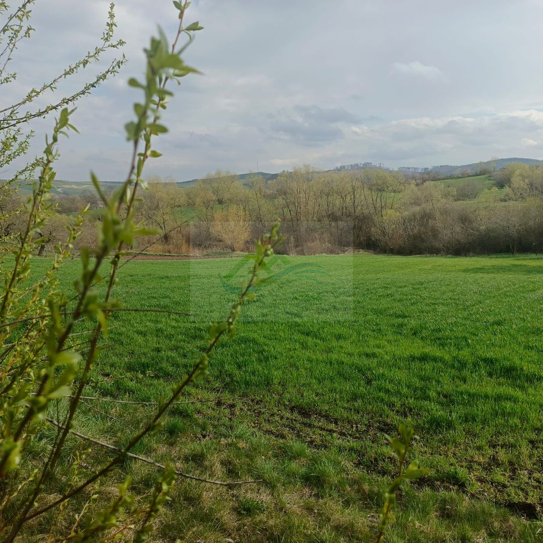 Teren intravilan Ilișești/Suceava - Poză 2