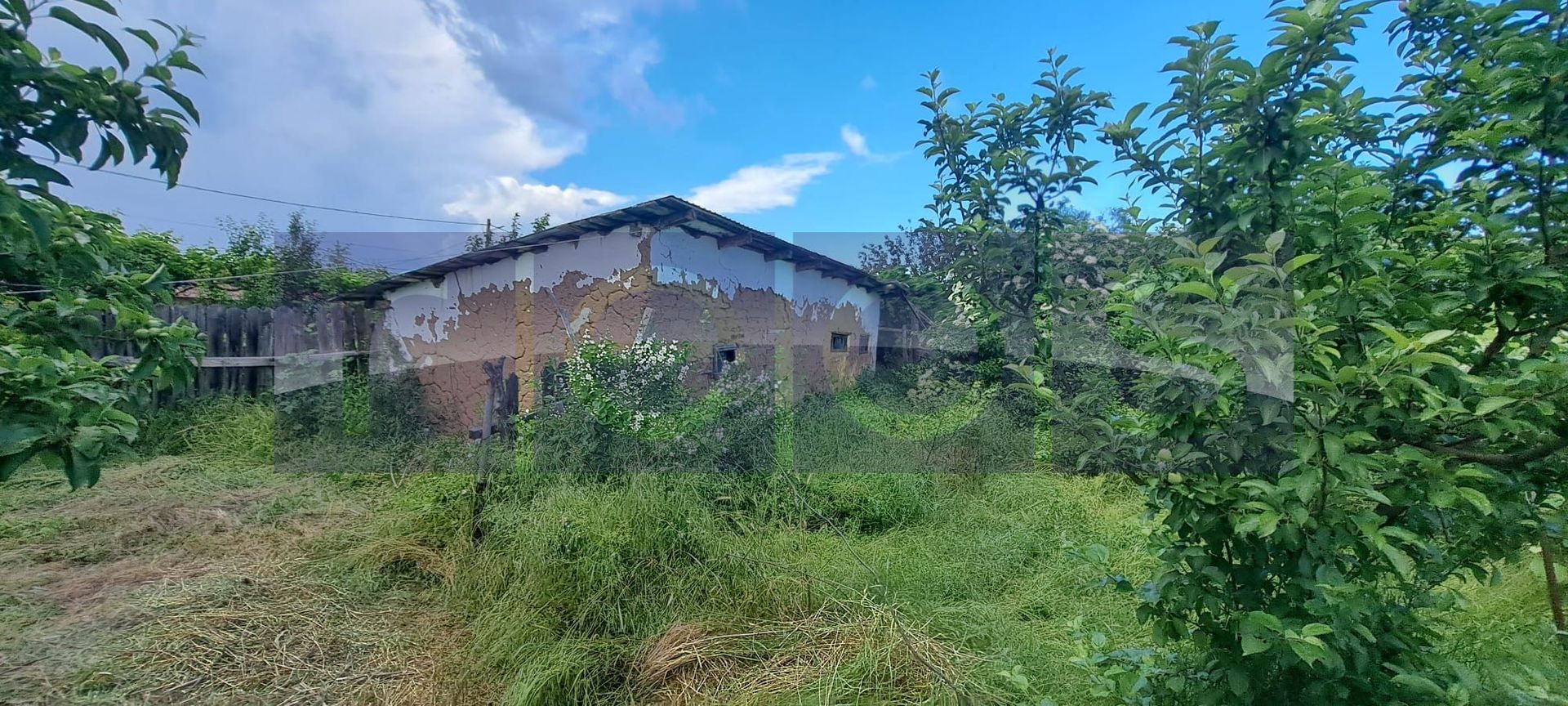 VANZARE CASA | TEREN 2500 MP | LIVADA SI VIE | SAT BREBINA – SCRIOASTEA - Poză 2