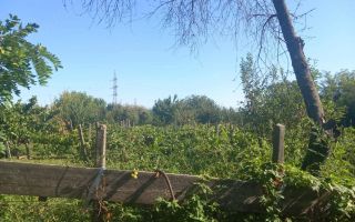 Casă de vânzare în Comuna Costuleni, județul Iași - Poză 4