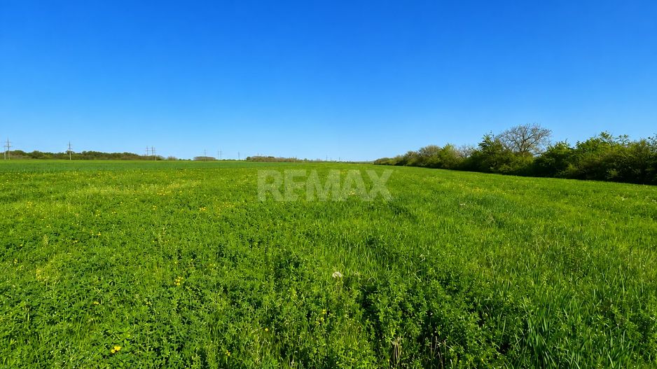 Teren agricol de 40 ari în Ghidighici – oportunitate pentru investiție sau activitate agricolă - Poză 2
