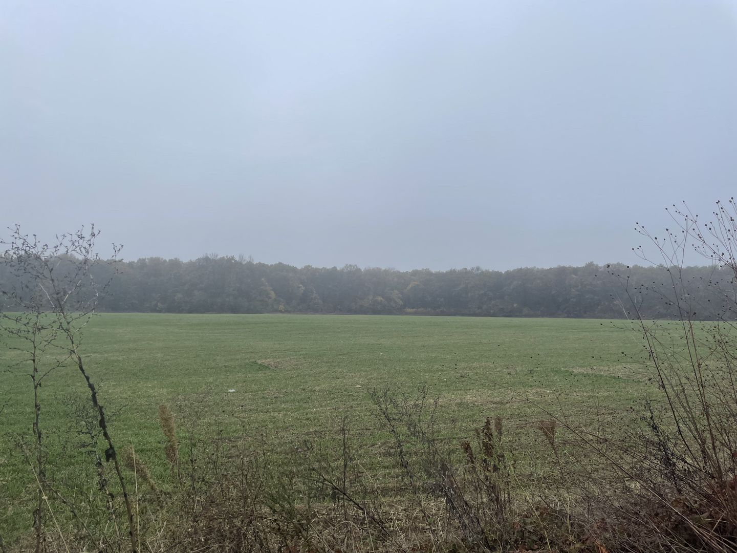 9400 mp | Ideal pentru investitie | Tunari | Deschidere la padure - Poză 7