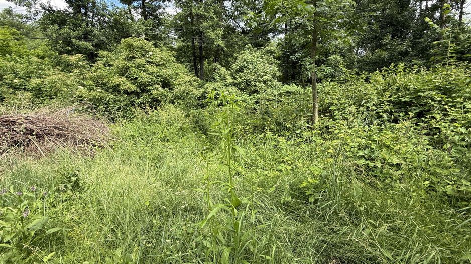 Teren intravilan 683 mp deschidere la strada asfaltata ! - Poză 19