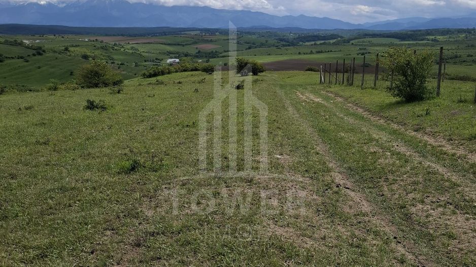 De vanzare, teren 11.500 mp – Dealul Dăii,  Vedere panoramică spre munți și lac - Poză 2