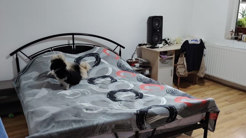 Steaua | 4 Camere |  Etaj 1 | Bloc Izolat | Centrala Proprie - Poză 2