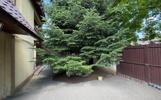 VANZARE VILA 280 MP UTILI | TEREN 900 MP | 5 CAMERE | VOLUNTARI - Poză 21