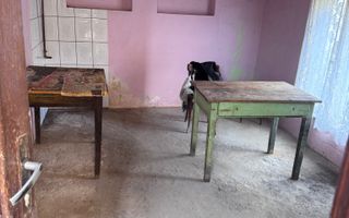 Casa individuala |  4 camere  | 2 corpuri | zona Turnisor - Poză 10