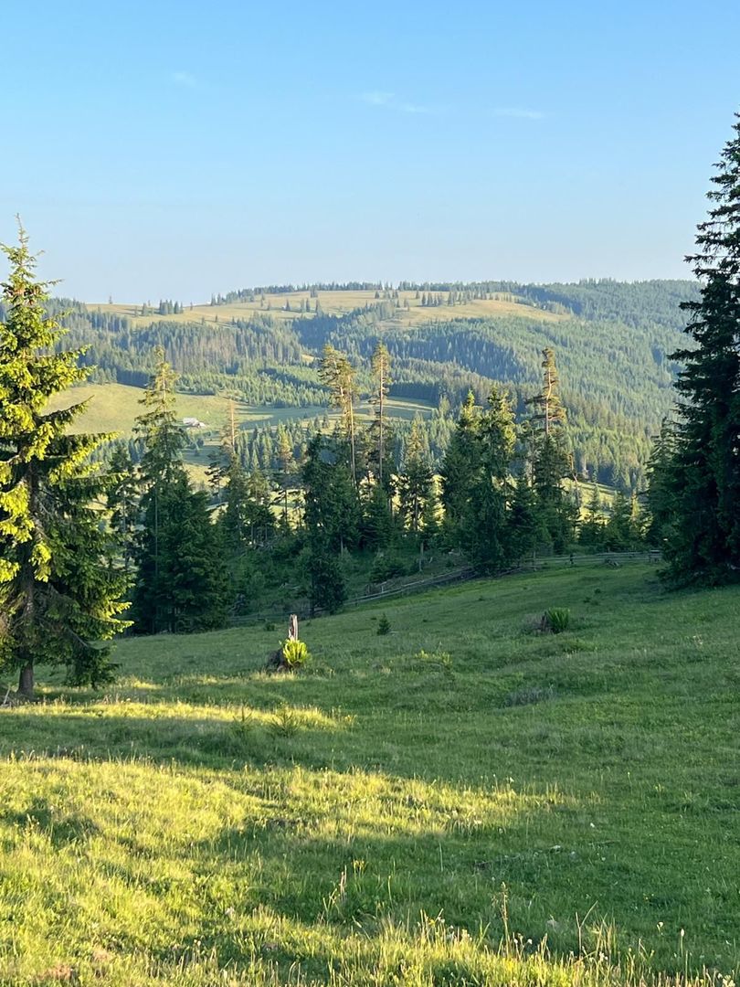 50 hectare teren | Moldova-Sulita | Potential turistic si agricol - Poză 10