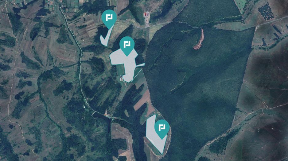 Pădure 50,7 ha în județul Arad - Poză 2