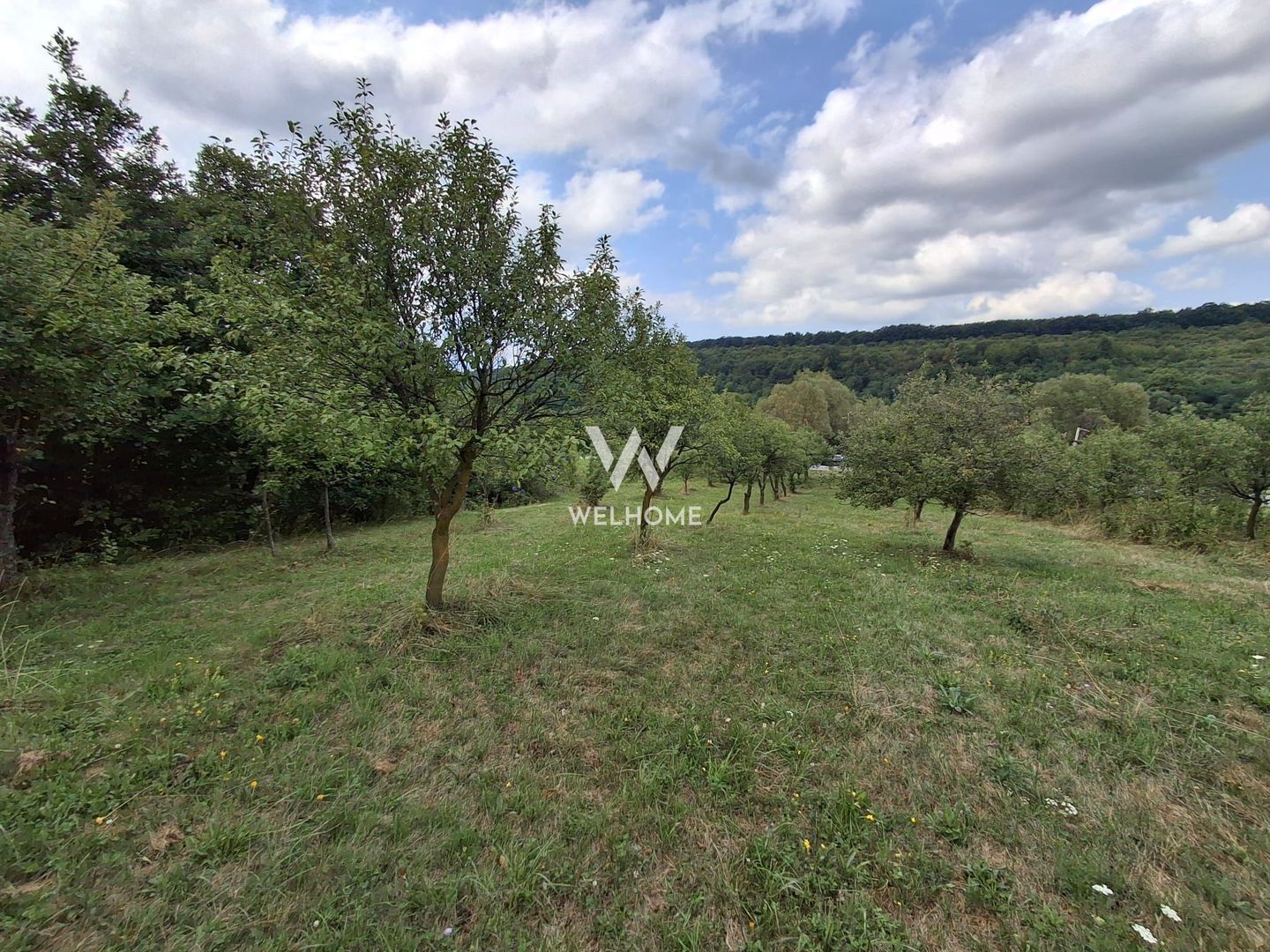 De vânzare teren extravilan în Sibiel, jud. Sibiu – 3223 mp - Poză 3