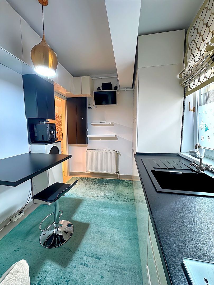 Sector 3 1 Decembrie 1918 garsoniera decomandata 40mp mobilata et 2/3 - Poză 8