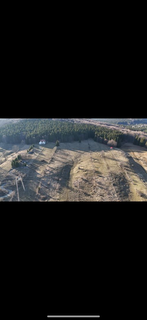 Teren intravilan la baza pădurii Valea Doftanei sat Traisteni (poduri) - Poză 14