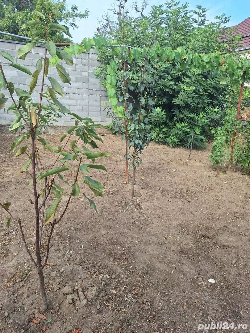 Apartament cu 1 camera. zona  Elisabetin - Poză 5