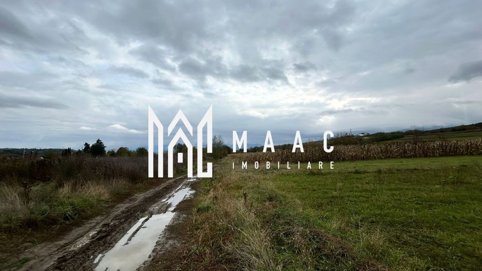 Teren | 3700 mp | Deschidere la DN | Intrare Vestem – Sibiu - Poză 3