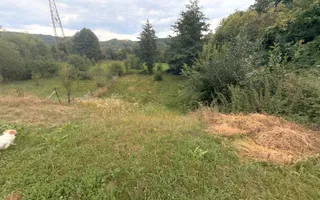 CASĂ 6 CAMERE TEREN 5736 MP LEREȘTI VOINEȘTI ARGEȘ - Poză 23