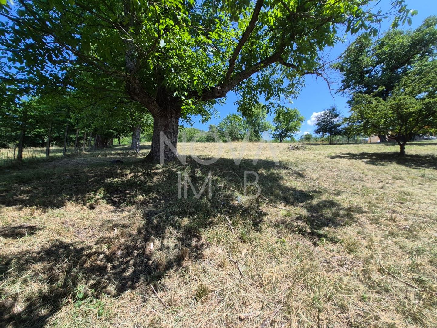Casa individuala cu teren generos – 8.356 mp – Tichindeal, jud. Sibiu - Poză 48