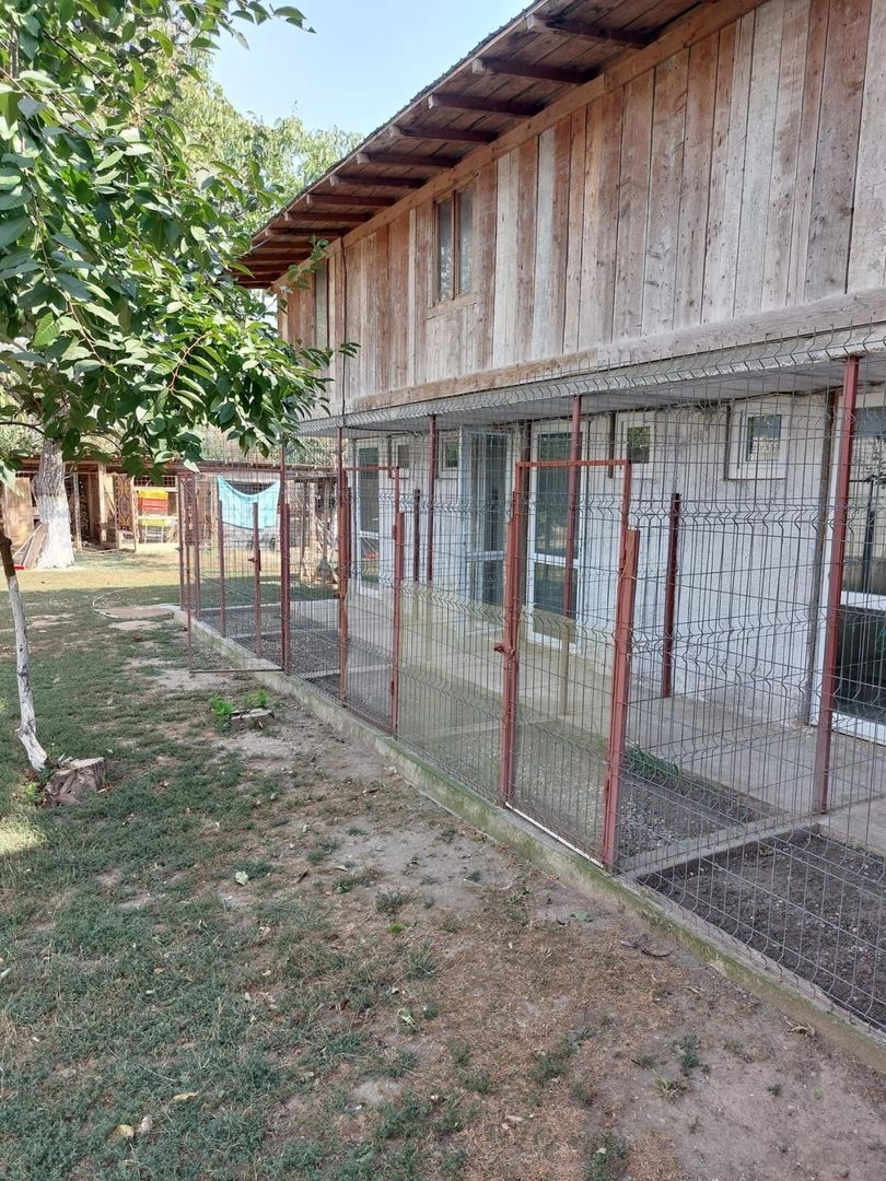 Casa de vanzare Cornățelu Dambovita - Poză 5