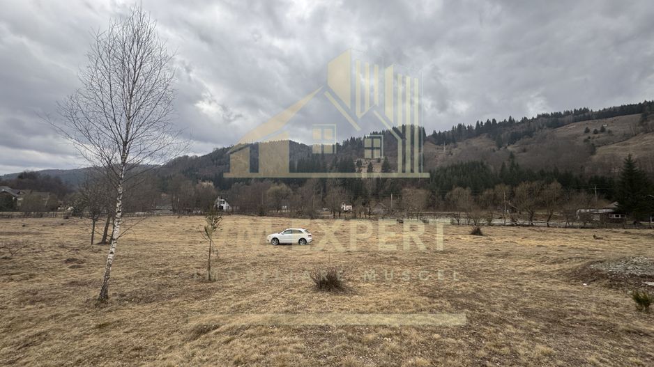 TEREN INTRAVILAN 500 MP SĂTIC- RUCĂR - Poză 4