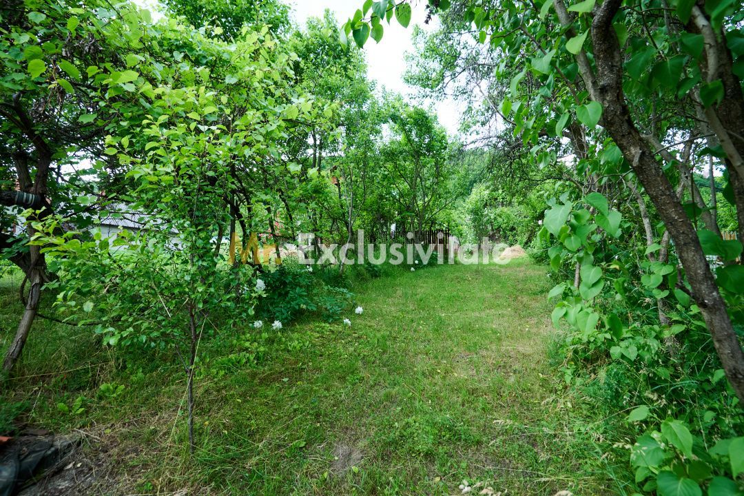 Casa cu teren generos - 4696 mp Apa Sarata - Campulung !! - Poză 7