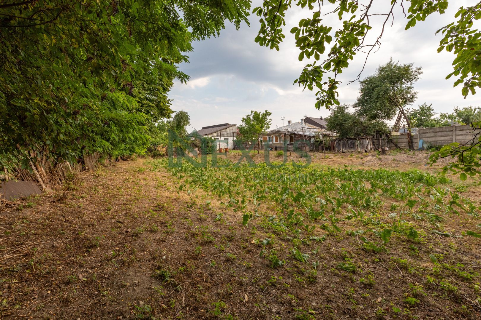 Casă de vânzare în Bacău, Tenen 1.000mp – Strada Militari - Poză 8