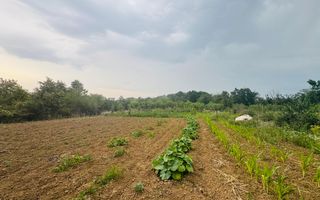 Teren intravilan de vânzare Paleu, zona Piersicilor langa padure - Poză 5