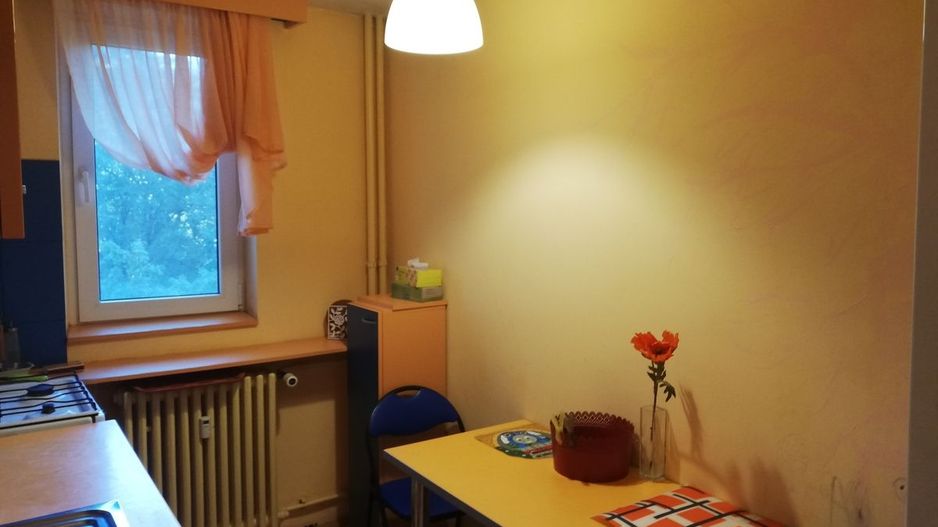 Apartament 2 camere de inchiriat, parcare, Pet Friendly - Drumul Taberei - Poză 8