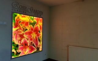 INCHIRIERE 2 CAMERE | ROSE GARDEN | DOAMNA GHICA - Poză 10