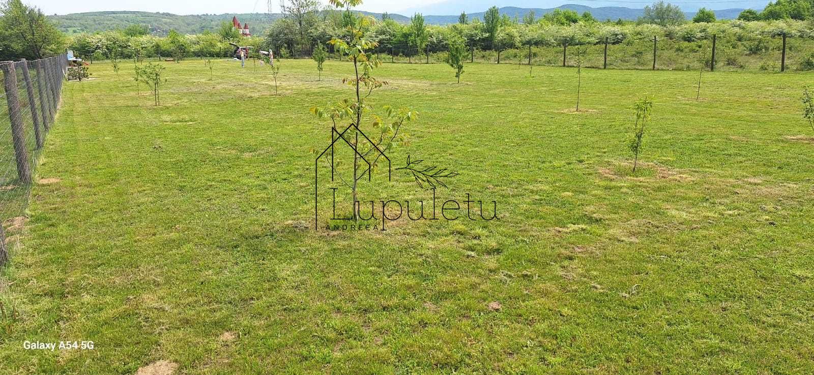 Teren Extravilan | 2.000 MPU | Intabulat | Zonă liniștită - Poză 3