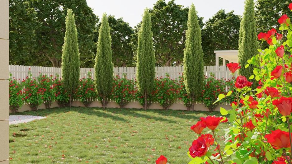 Duplex deosebit în Dumbravita - Poză 6