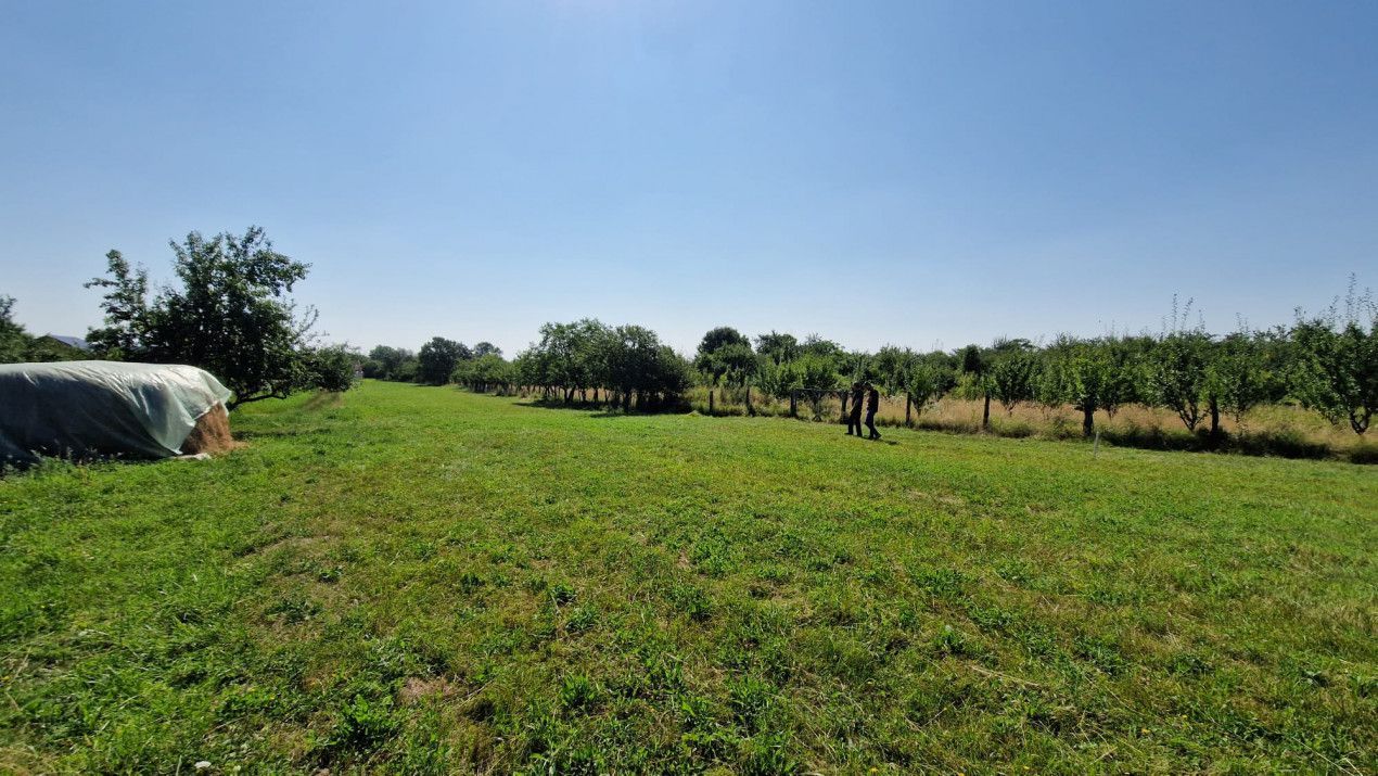 Vanzare teren intravilan, Smeura de Sus - Poză 6