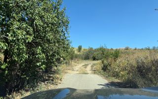 Teren Parțial Intravilan | 11.278 mp | Front la 2 Străzi | Gădălin - Poză 5