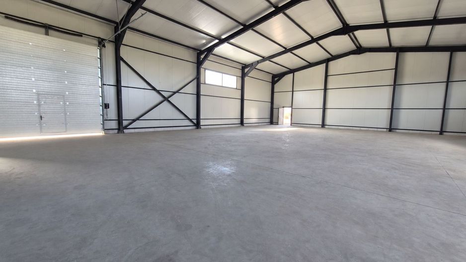 Hală de închiriat 590 mp | Chitila–Rudeni | Acces direct din Centură - Poză 3