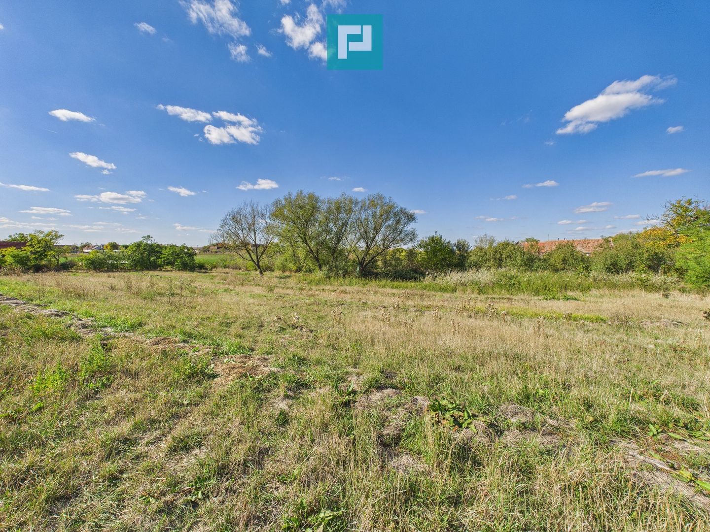 Teren intravilan 6115mp pentru investiții Firiteaz - Poză 5