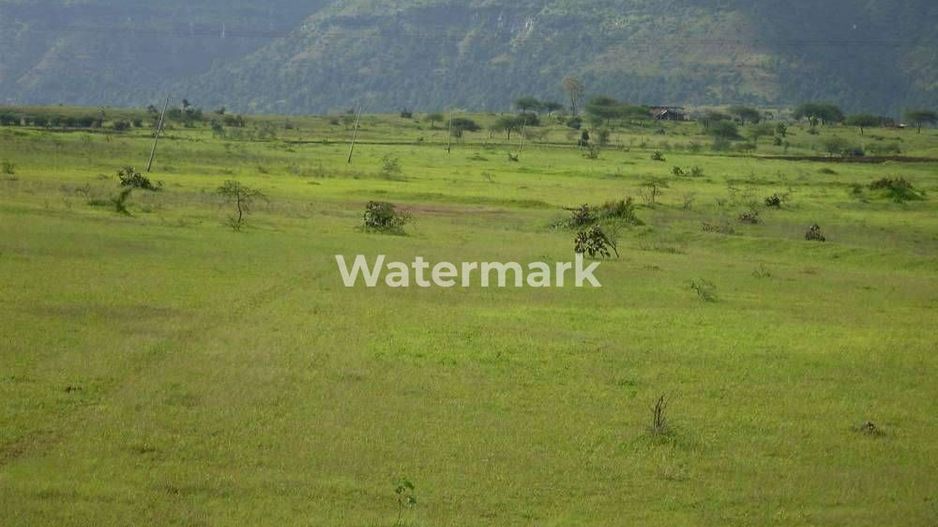 Teren cu PUZ de vanzare in Faget! - Poză 3