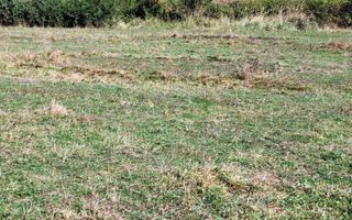 Teren extravilan situat în Cristian - Poză 2