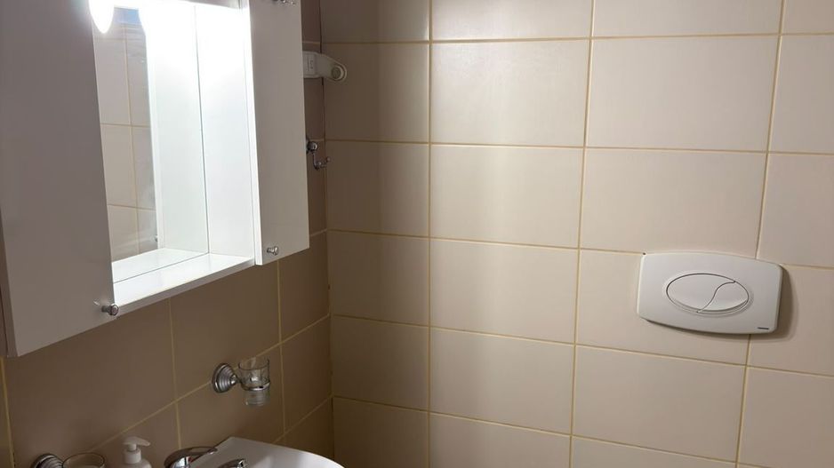 Închiriere Apartament 2 Camere Vitan Centrală, Parcare, Boxă,  Petfriendly - Poză 10