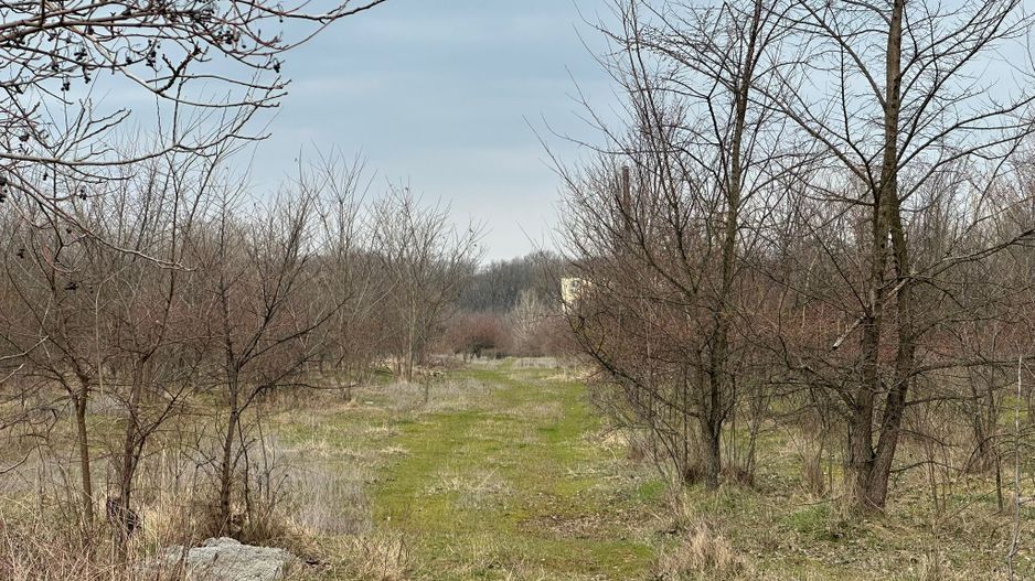 Teren intravilan cu PUZ aprobat 33.683 mp – Săftica/Balotești – deschidere DN1 - Poză 24