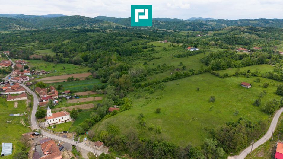 Proprietate de poveste pe Valea Mureșului, Lupești - Poză 4