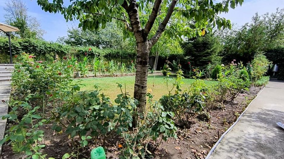 Baneasa- Pipera- Rond OMV- Henri Coanda - Poză 32