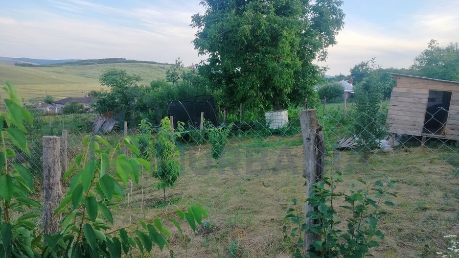 Teren intravilan de 1550 mp în localitatea Buznea, strada Corneliu Coposu - Poză 4