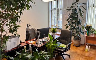 Brâncoveanu  Sp+P+M cu extindere P+1E+M pretabilă afacere - Poză 40