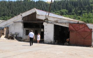 Fabrică de cherestea | Câmpeni | teren 8.000 mp - Poză 4