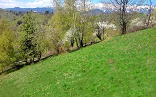 teren intravilan in zona Magura Bran - Poză 28